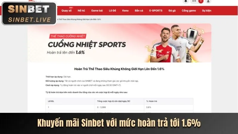 Hoàn trả hàng ngày và hàng tuần cho cược thể thao